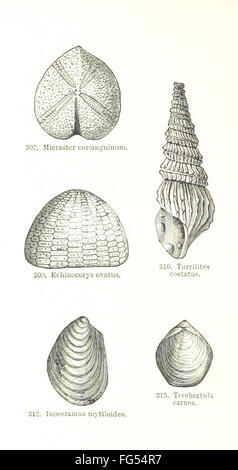 48 "[Umrisse der Geologie... Zweite Auflage, überarbeitete, etc..] " Stockfoto