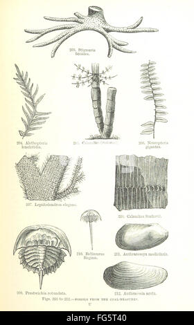 05 der "Umrisse der Geologie... Zweite Auflage, überarbeitete, etc. " Stockfoto