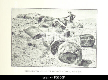 89 der "Edelsteine und Edelsteine von Nordamerika... Zweite Auflage mit Anhang " Stockfoto