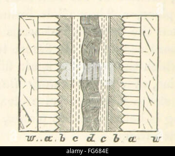Diese Illustration von *Elements of Geology* ist eine historische Darstellung geologischer Merkmale und bietet einen lehrreichen Einblick in frühe geologische Studien und die Bildung der Erdstruktur. Stockfoto