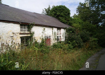 verfallene Hütte im Land Lane South west Wales Stockfoto