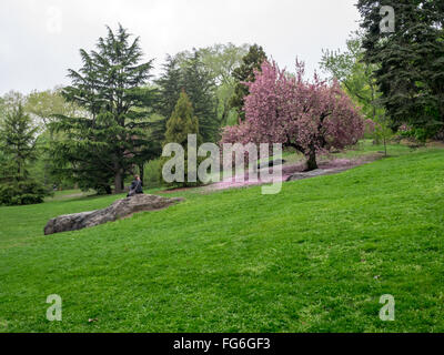 Der Central Park in New York Stockfoto