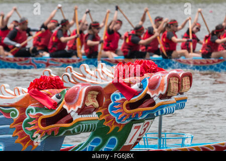 Ein Drachen-Boot-Team beteiligt sich an der jährlichen Drachenboot-Rennen am Keelung River Stockfoto