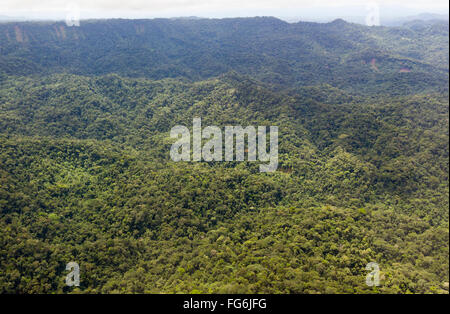 Luftaufnahme des amazonischen Tiefland-Regenwald in Provinz Pastaza in Ecuador Stockfoto
