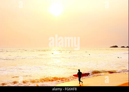 Surfen bei Sonnenuntergang am Sri Lanka Ocean beach Stockfoto