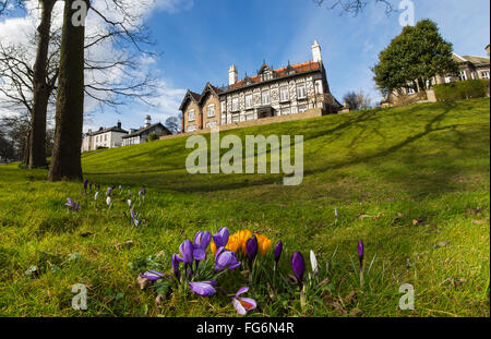 Niedrigen Winkel auf ein großes Haus oben auf einem grasbewachsenen Hügel und Tulpen blühen im Vordergrund; Whitburn, Tyne and Wear, England Stockfoto