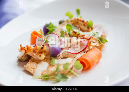 Eine gesunde vorbereitet feine Restaurants frischen Salat von grünen, Wurzelgemüse und buntem Gemüse schön arrangiert auf einem Teller und einsatzbereit Stockfoto