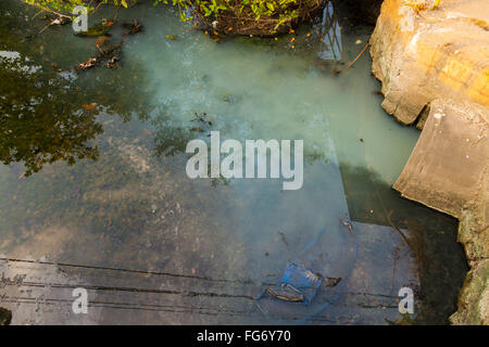 Unbehandeltes Wasser macht seinen Weg in einen Stream aus einem Rohr in Quepos, Provinz Puntarenas, Costa Rica. Stockfoto