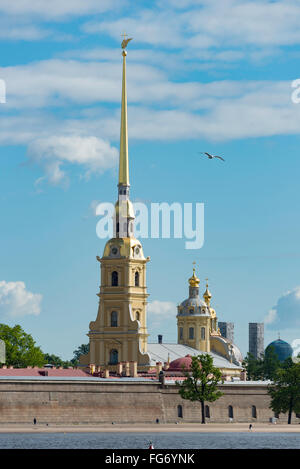 Die Kathedrale von St. Peter und Paul über Fluss Newa aus Zayachy Insel, Sankt Petersburg, nordwestliche Region, Russland Stockfoto