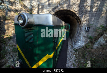 Sargan acht Schmalspur-Museumsbahn von Mokra Gora, Sargan Vitasi, Serbien Stockfoto