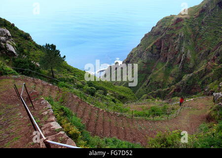 Geographie/Reisen, Portugal, Madeira, Paul do Mar, Pfad an der Steilküste, Additional-Rights - Clearance-Info - Not-Available Stockfoto