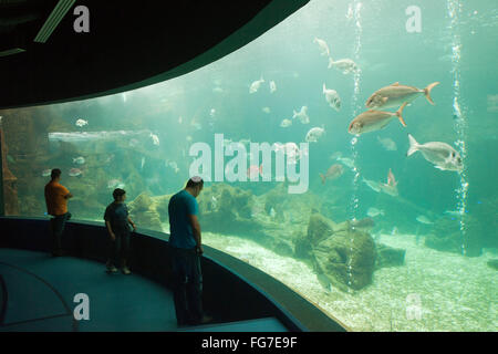 Griechenland, Kreta, Gournes, Cretaquarium Stockfoto