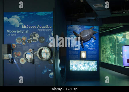 Griechenland, Kreta, Gournes, Cretaquarium Stockfoto