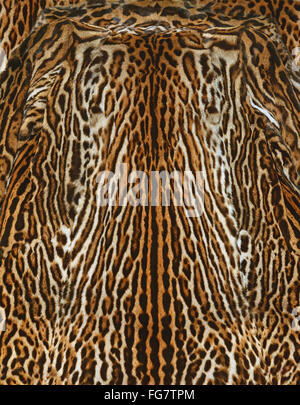 Leopard-Haut-Hintergrund Stockfoto