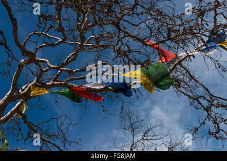 Namche Bazar, Nepal. 18. Februar 2016. Die Everest und Khumbu-Region ist mit Fug und Recht das berühmteste aller Trekking- und Mountainbike-Regionen. Befindet sich in Ost-Nepal, bietet die Everest-Region ein breites Spektrum für viele Touristen erlebt. Tourismus ist von großer Bedeutung für das Wohlbefinden der Menschen in der Region zu sein, wie es Arbeitsplätze bringt und Menschen können Löhne verdienen anerkannt. Bildnachweis: Velar Grant/ZUMA Draht/Alamy Live-Nachrichten Stockfoto
