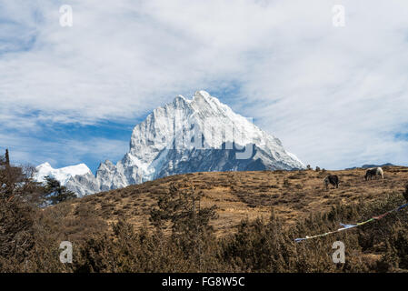 Namche Bazar, Nepal. 18. Februar 2016. Die Everest und Khumbu-Region ist mit Fug und Recht das berühmteste aller Trekking- und Mountainbike-Regionen. Befindet sich in Ost-Nepal, bietet die Everest-Region ein breites Spektrum für viele Touristen erlebt. Tourismus ist von großer Bedeutung für das Wohlbefinden der Menschen in der Region zu sein, wie es Arbeitsplätze bringt und Menschen können Löhne verdienen anerkannt. Bildnachweis: Velar Grant/ZUMA Draht/Alamy Live-Nachrichten Stockfoto