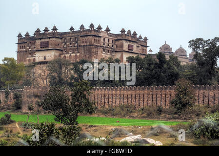 Orchha Fort, Raja Mahal, Orccha, Madhya Pradesh, Indien, Südasien Stockfoto