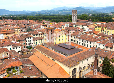 Vogelperspektive von Lucca aus dem Guinigi-Turm Stockfoto
