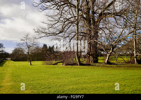 Scone Palace in Schottland zeigt das Gelände im Winter an einem sonnigen Tag Stockfoto