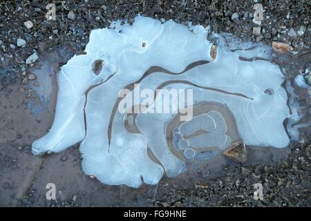 Pfütze Muster; Gefrorenen Eis bedeckt Pfütze auf steinigen Feldweg in Shropshire, England bilden ein Muster in die Oberfläche Eis. Stockfoto