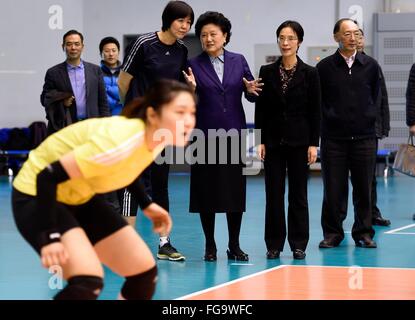 Peking, China. 18. Februar 2016. Chinesische Vize-Premier Liu Yandong(3rd R) tauscht mit Chinas Frauen Nationalmannschaft Volleyball Trainer Lang Ping(4th R), wenn sie die Ausbildung der Frauen Volleyball-Nationalmannschaft in Peking, Hauptstadt von China, 18. Februar 2016 anzeigt. Liu Frühlingsfest Grüße auf den Athleten und Trainern in nationalen Trainingslager am Donnerstag ausgedehnt und ermutigte sie, die Olympischen Spiele 2016 in Rio gut vorzubereiten. © Gong Lei/Xinhua/Alamy Live-Nachrichten Stockfoto