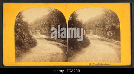 Eine historische stereoskopische Fotografie der Wissahickon Lane aus der Robert N. Dennis Kollektion, die einen Vintage-Blick auf die Straße und die umliegende Landschaft in Philadelphia zeigt. Stockfoto