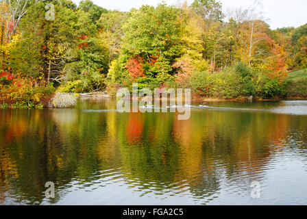 Bunter Herbst Laub Reflexion über einen Teich Stockfoto