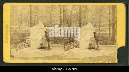 Trinkbrunnen, Silver Spring, Druid Hill Park, aus Robert N. Dennis Sammlung von stereoskopischen Ansichten Stockfoto