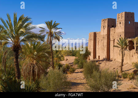 Alten Kasbah, Skoura, Ouarzazate Region, Marokko, Afrika. Stockfoto