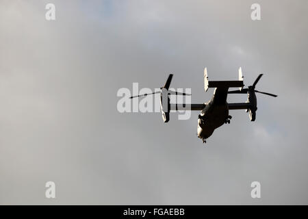 Die Bell-Boeing v-22 Osprey kommen ins Land an der Woodbridge Flugplatz Base, Rendlesham, Suffolk, UK. Stockfoto