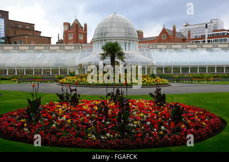 Belfast Botanical Gardens Palm House Glashaus Grenze Bett Display Runde Runde Betten jährliche Jahrbücher Farbe RM Floral Bettwäsche Stockfoto