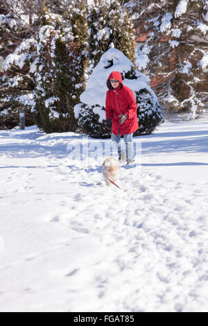 Frau in rot Jacke nimmt ihren kleinen Hund (Shih Tzu) in einem Wald oder auf dem Lande im Tiefschnee in Nordontario; Kanada Stockfoto