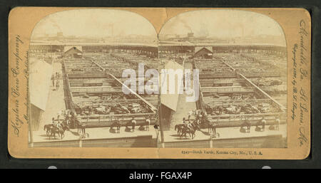 Stockyards, Kansas City, Missouri, von Keystone View Company Stockfoto