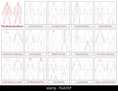 Körper-Meridiane - schematische Darstellung mit wichtigsten Akupunkturmeridiane und deren Richtungen fließen. Stockfoto
