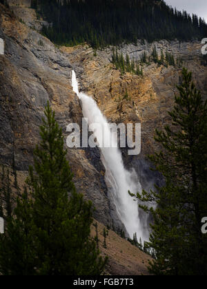 Blick auf gespeisten Wasserfälle an einem bewölkten Tag; Yoho-Nationalpark, in der Nähe von Golden, British Columbia, Kanada Stockfoto