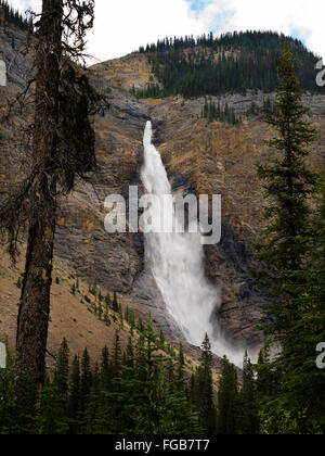 Blick auf gespeisten Wasserfälle an einem bewölkten Tag; Yoho-Nationalpark, in der Nähe von Golden, British Columbia, Kanada Stockfoto