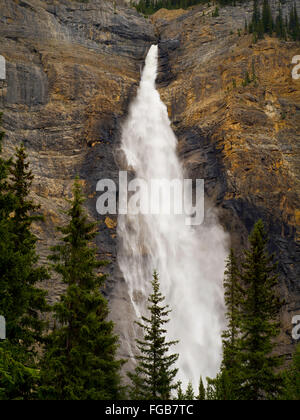 Blick auf gespeisten Wasserfälle an einem bewölkten Tag; Yoho-Nationalpark, in der Nähe von Golden, British Columbia, Kanada Stockfoto