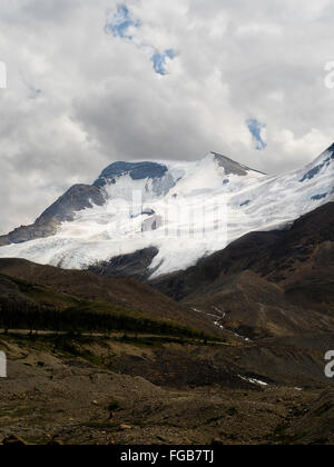 Blick auf das Schneefeld südlich des Athabasca befindet entlang des Icefields Parkway, Jasper Nationalpark, Alberta, Kanada Stockfoto