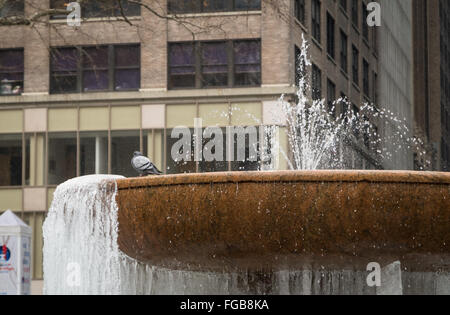 Taube thront auf Josephine Shaw Lowell-Gedenkbrunnen im Bryant Park, eingefroren in extrem kalten. Stockfoto