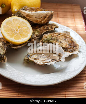 atemberaubende französische Muscheln, geöffnet, mit einer Scheibe Zitrone Stockfoto