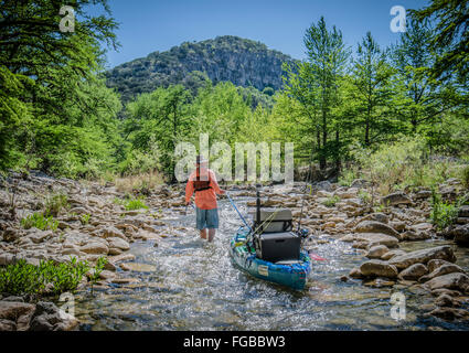 Yaks ziehen Stockfoto