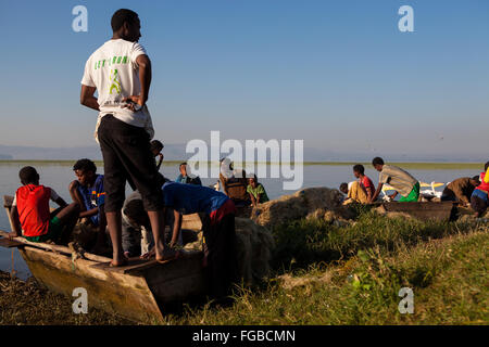 Fischer ihre Talapia entladen. See-Hawassa Äthiopien Stockfoto