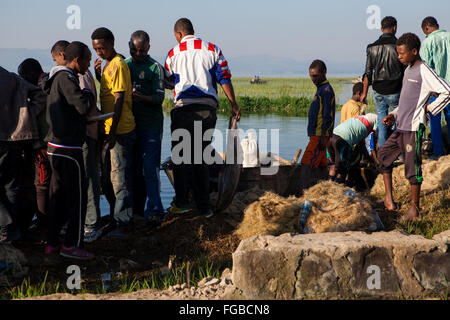 Fischer versammeln, um ihre Fänge in der frühen Morgensonne, See Hawassa, Äthiopien zu entlasten. Stockfoto