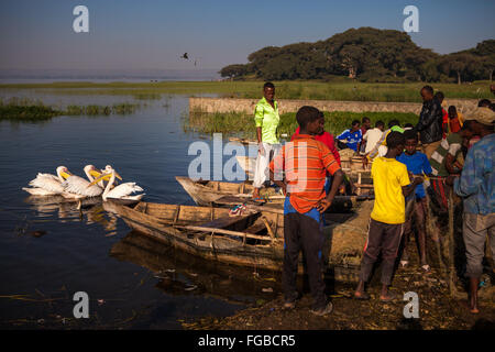 Fischer versammeln sich, um ihren Fang von Fischen in der frühen Morgensonne entladen. See-Hawassa, Äthiopien, Afrika. Stockfoto