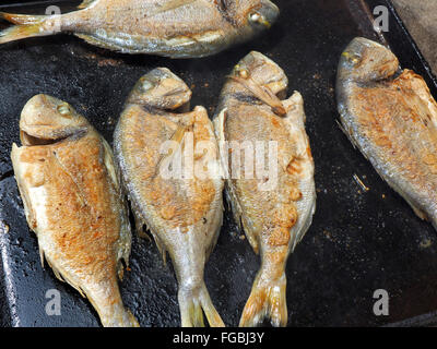 Frische ganze Fische auf dem Grill gegrillt Stockfoto