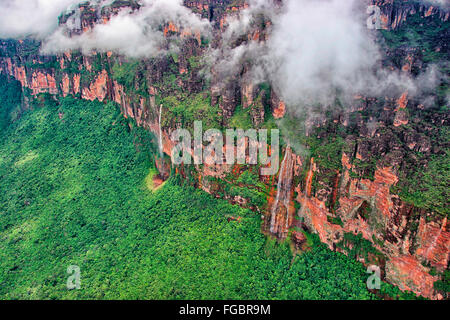 Angel Falls ist die höchste Werfall der Welt Werwith eine Höhe von 979 m (807 m der Unterrupted Herbst) Genered die Auyantepuy. Es Stockfoto