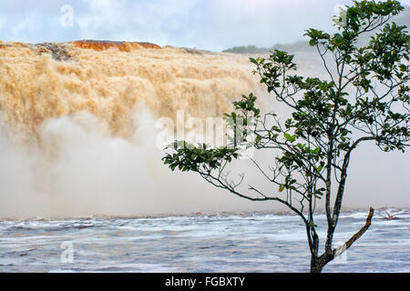 e der schönsten Orte ist Venezuela Canaima Lago und seine Surroundgs. Das Lago ist durch mehrere kleine Wer Stürze gefüttert: Stockfoto