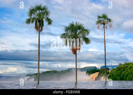 e der schönsten Orte ist Venezuela Canaima Lago und seine Surroundgs. Das Lago ist durch mehrere kleine Wer Stürze gefüttert: Stockfoto