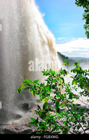 e der schönsten Orte ist Venezuela Canaima Lago und seine Surroundgs. Das Lago ist durch mehrere kleine Wer Stürze gefüttert: Stockfoto