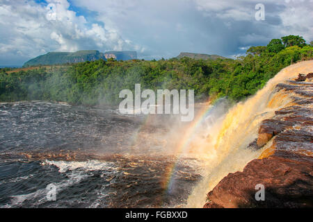 e der schönsten Orte ist Venezuela Canaima Lago und seine Surroundgs. Das Lago ist durch mehrere kleine Wer Stürze gefüttert: Stockfoto